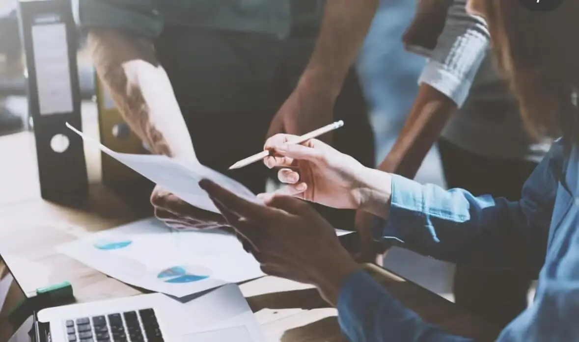 雪莲花吃哪个部位