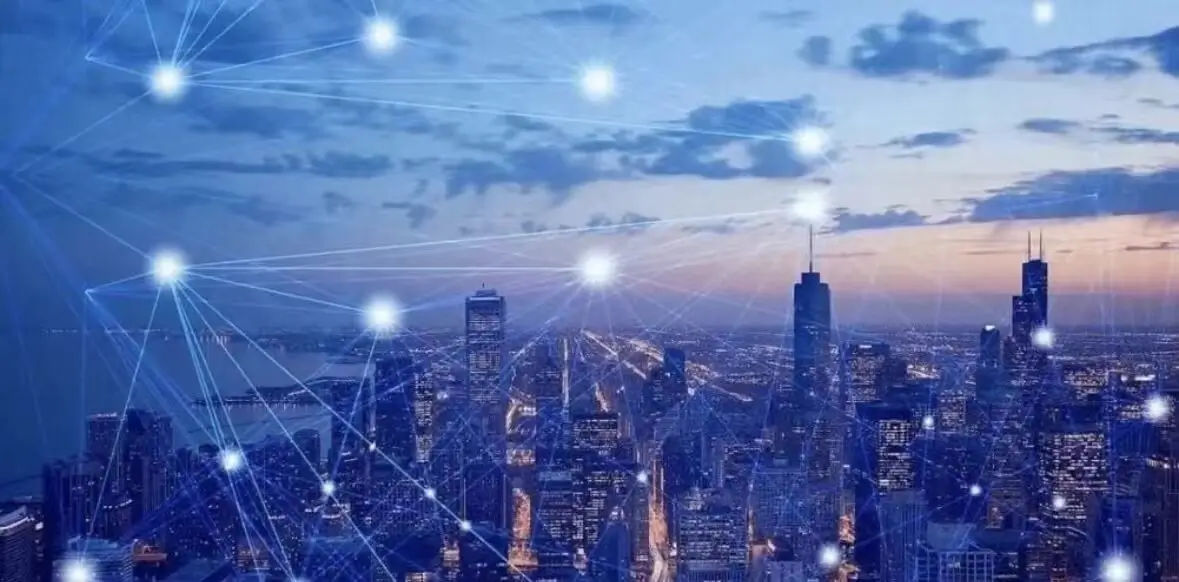 香和臭鲤鱼偏爱哪个