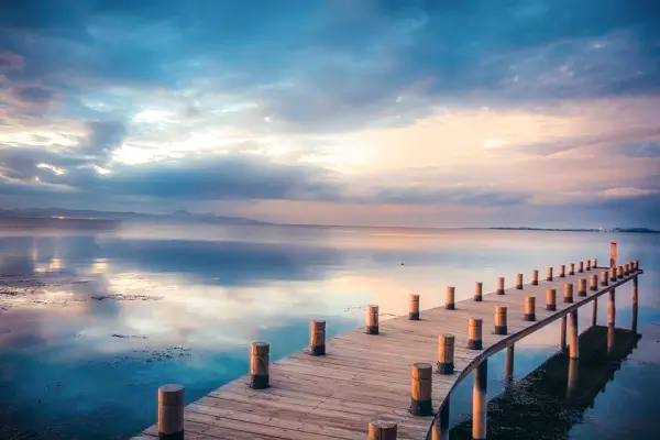 买牛油果买哪个产地