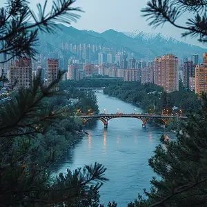 香叶白芷哪个增香