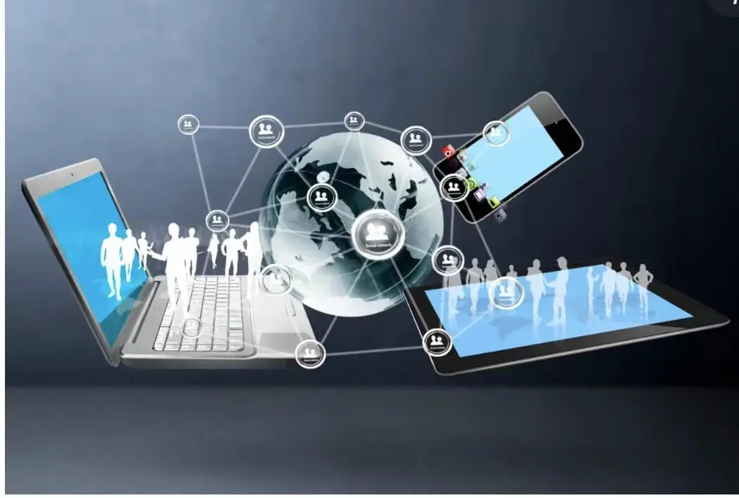 芹菜跟西芹哪个好