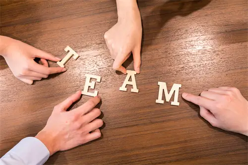 鸽子公母炖汤哪个好