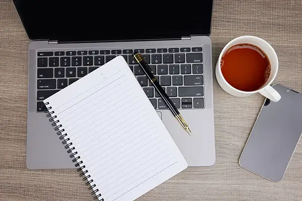 蒿子杆和茼蒿哪个贵