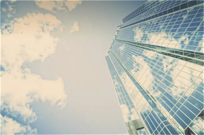 童子鸡 母鸡哪个好