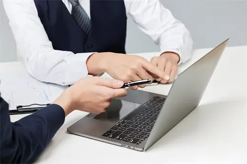 法牛尾巴哪个好