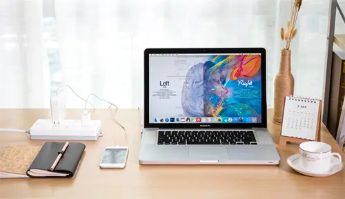 哪个部位肉不能吃图解